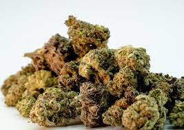 Indica