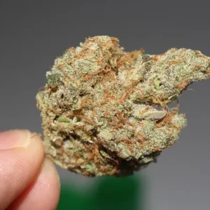 Sativa
